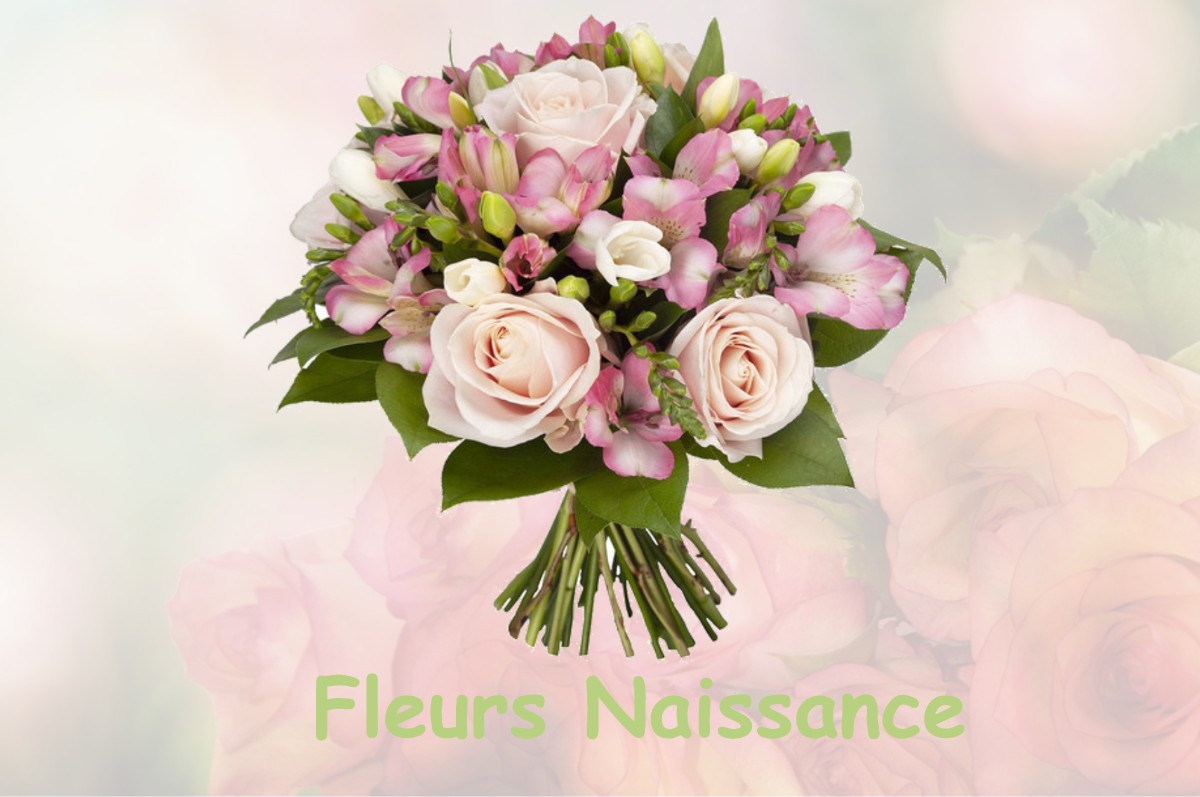 fleurs naissance PEUVILLERS