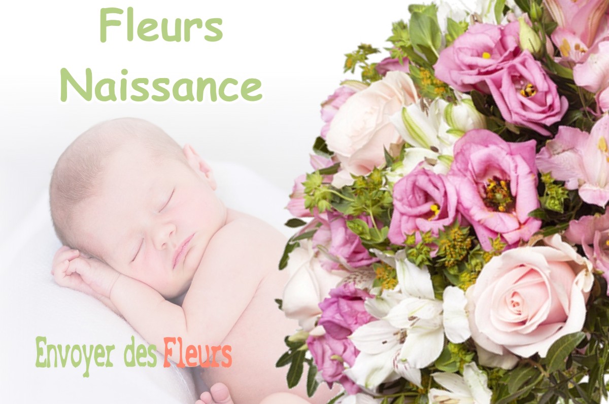 lIVRAISON FLEURS NAISSANCE à PEUVILLERS